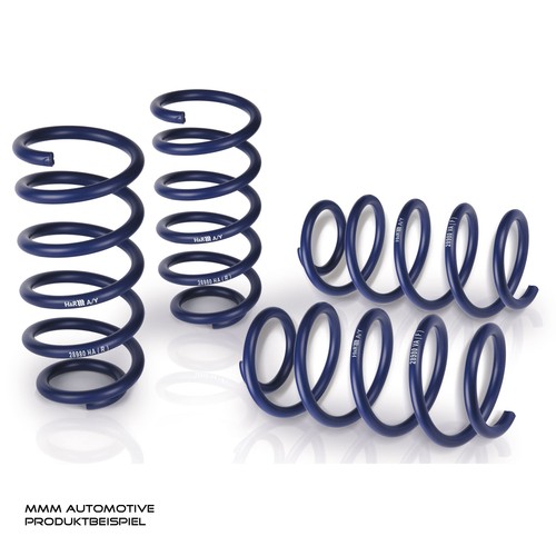 Lowering springs 25mm fiat - h&r,